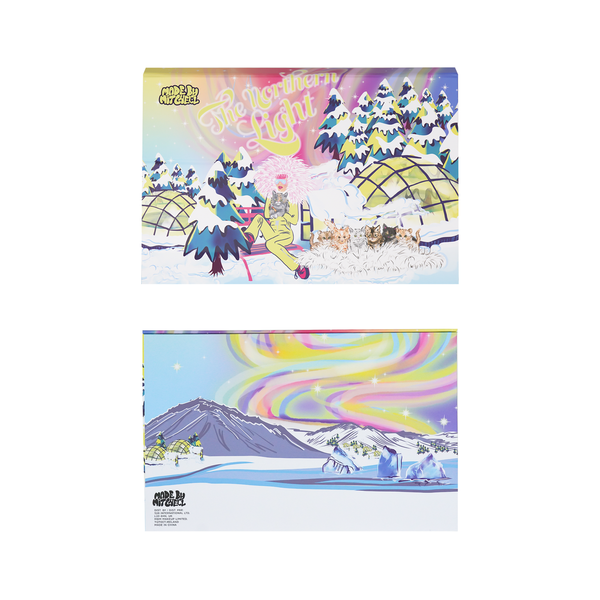 Northern Light 10 Piece Makeup Brush Set