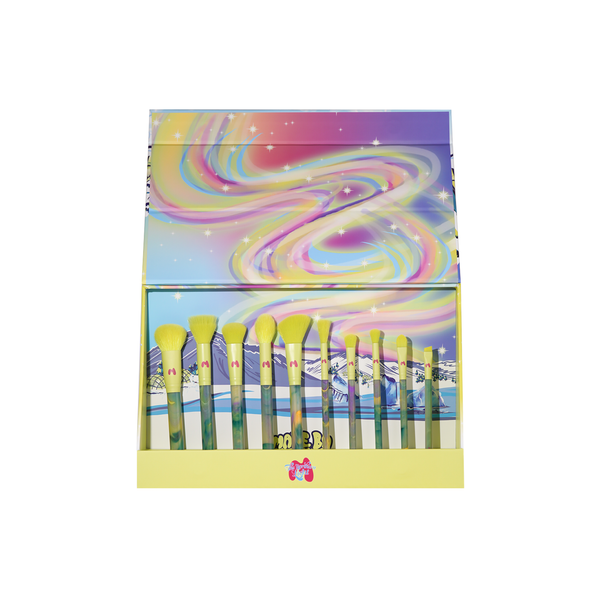 Northern Light 10 Piece Makeup Brush Set