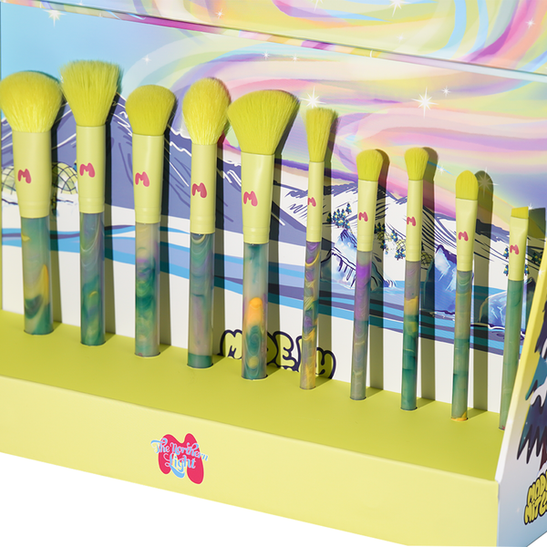 Northern Light 10 Piece Makeup Brush Set