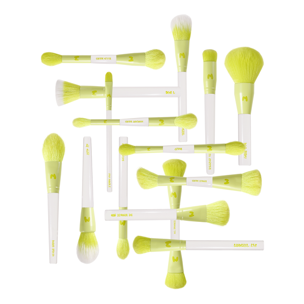 Pro Face & Eye Brush Collection