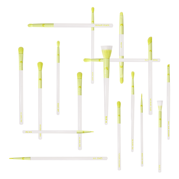 Pro Face & Eye Brush Collection