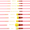 Colour Is Back Sunset Blush & 10 Piece Brush Set