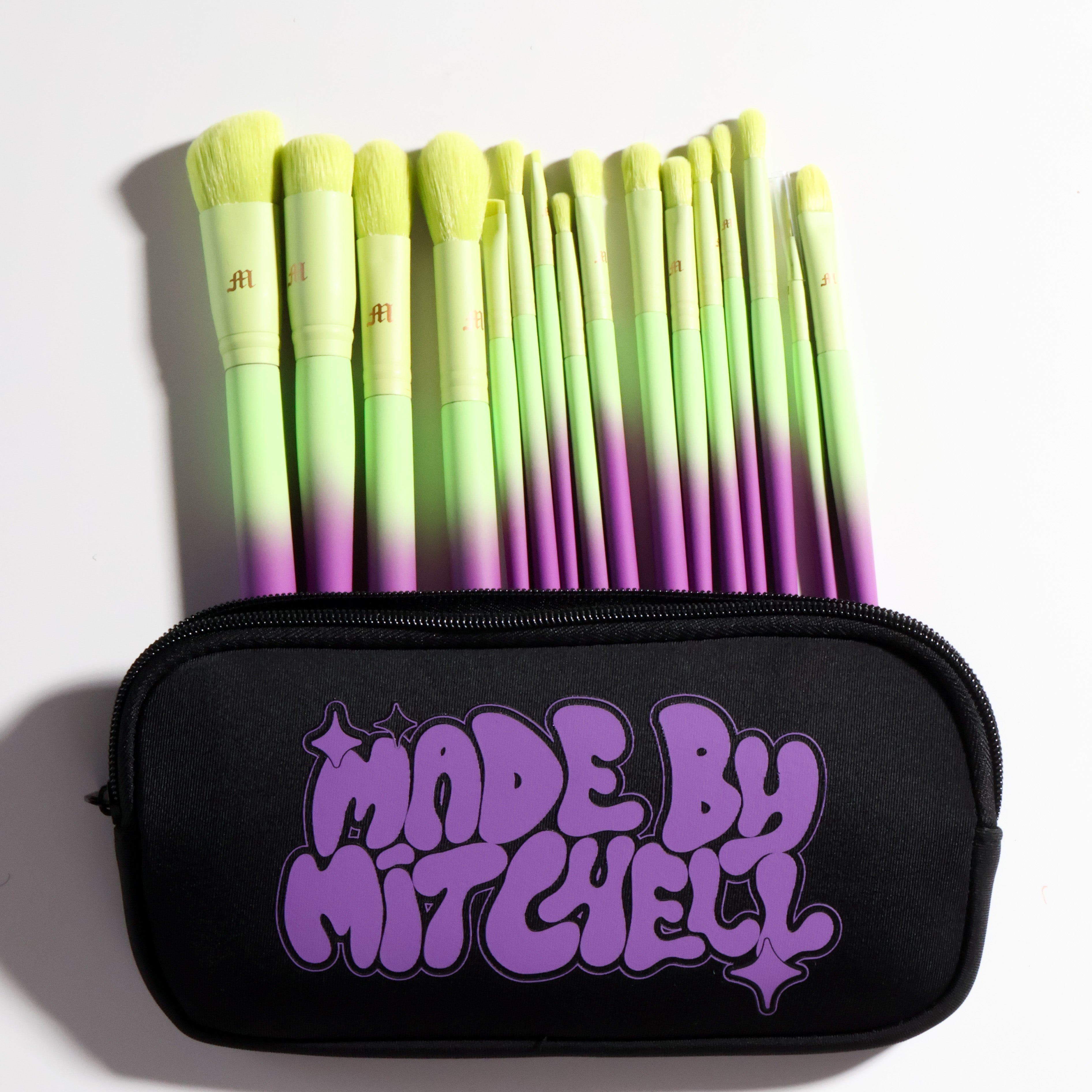 16 Piece Ombre Makeup Brush Set & Brush Pouch