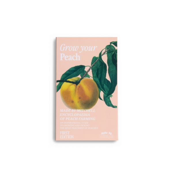 Mini Blursh Book Blusher Palette