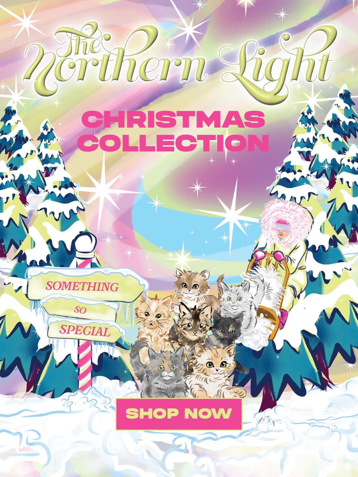 /collections/black-friday