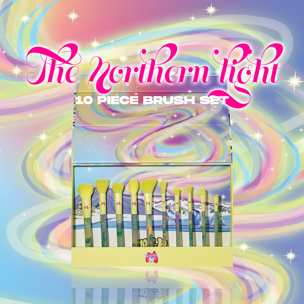 Northern Light 10 Piece Makeup Brush Set